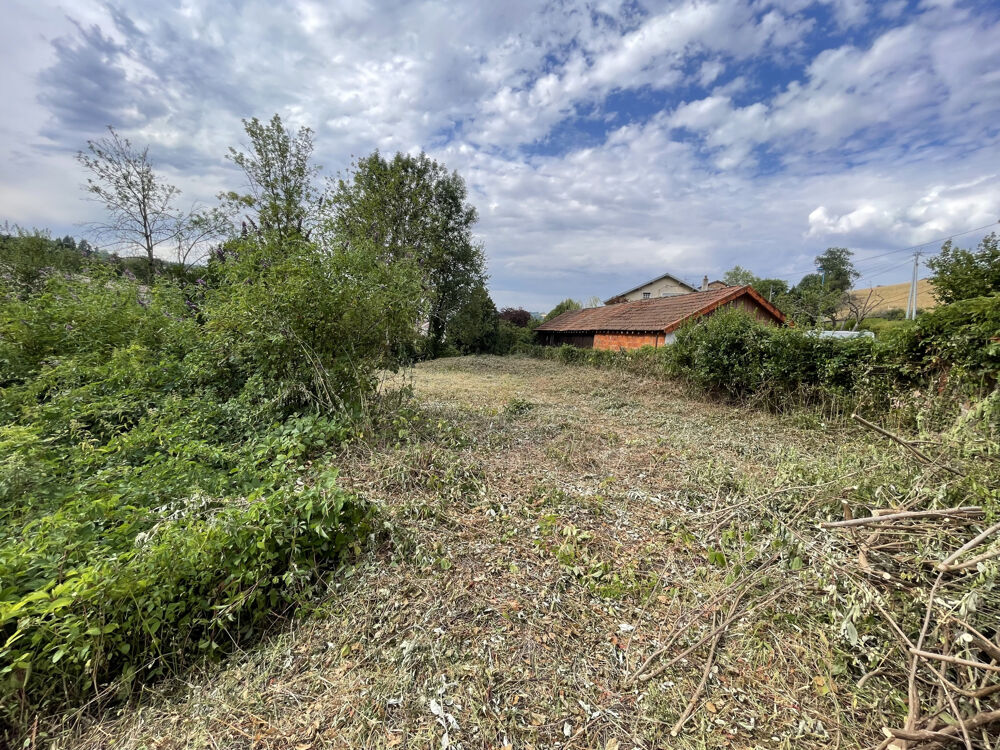 Vente Terrain Terrain constructible Cours la ville