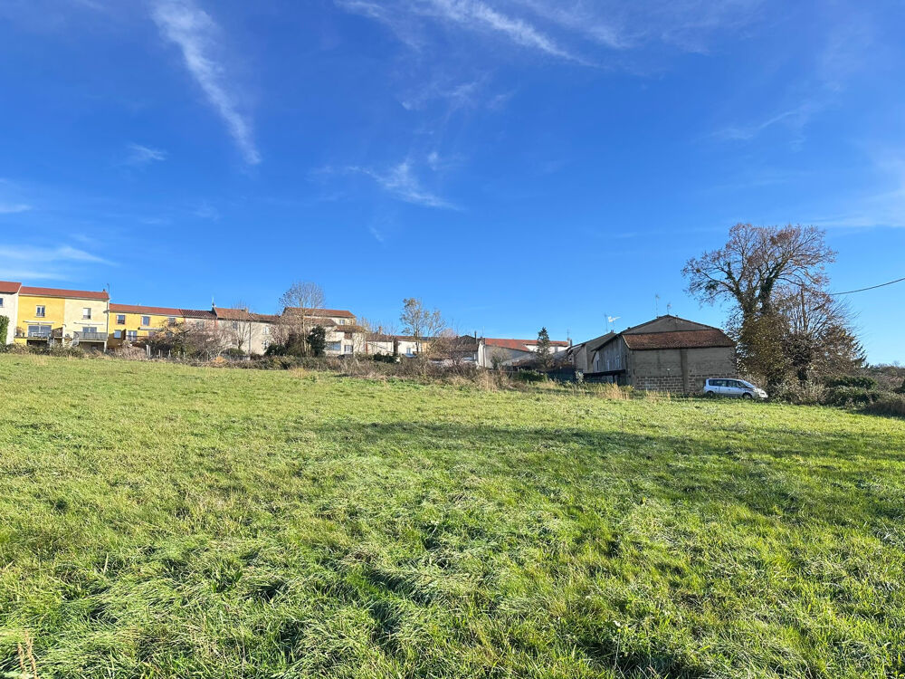 Vente Terrain 5503 m2 - Terrain Constructible - 42590 NEULISE - Neulise