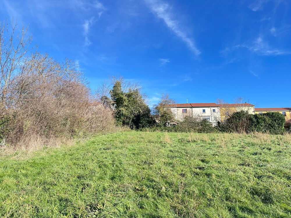 Vente Terrain 5503 m2 - Terrain Constructible - 42590 NEULISE - Neulise