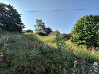  Terrain � vendre 559 m�