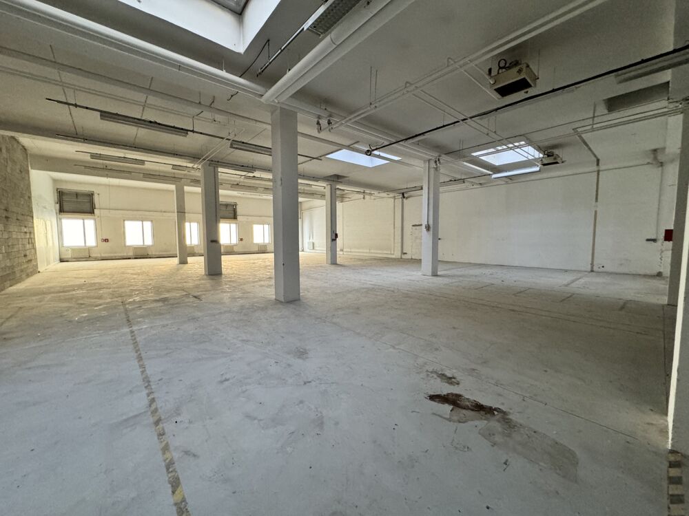   Locaux d'activité - A LOUER - 1 160 m² divisibles à partir de 550 m² 