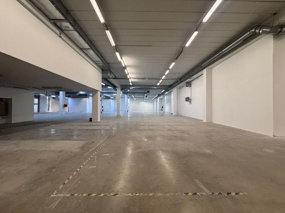   Locaux d'activité - A LOUER - 3 531 m² divisibles à partir de 282 m² Ivry sur seine