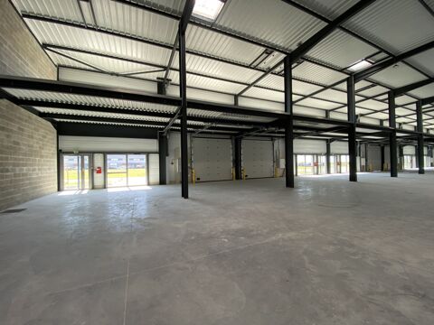   Locaux d'activité - A LOUER - 779 m² divisibles à partir de 313 m² 