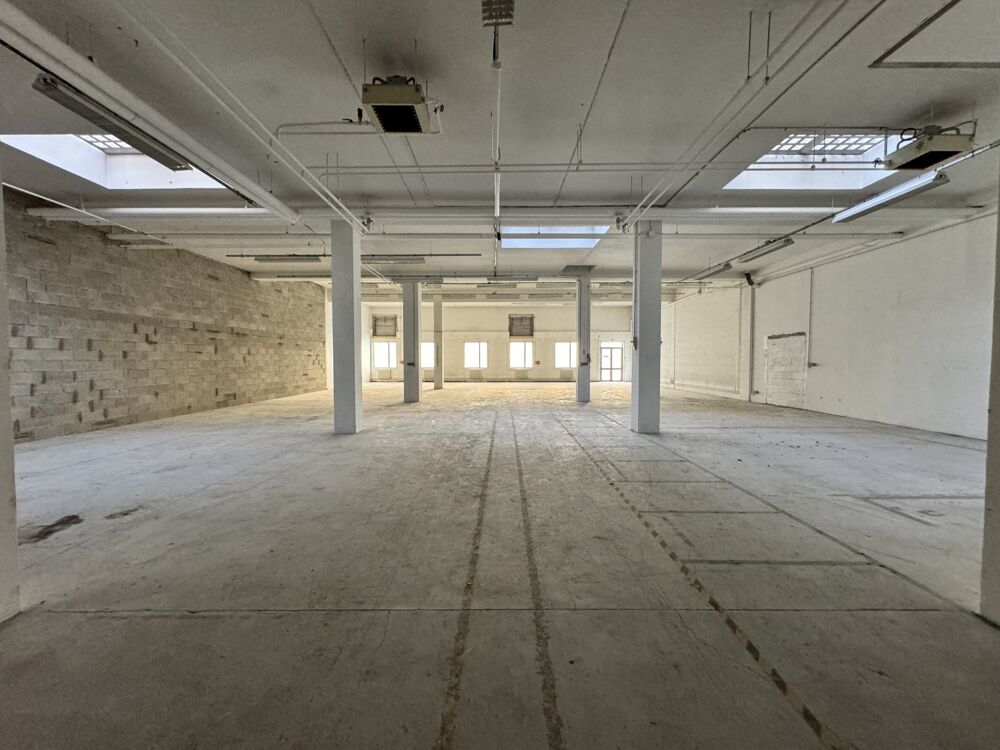   Locaux d'activité - A LOUER - 1 160 m² divisibles à partir de 550 m² Villepinte