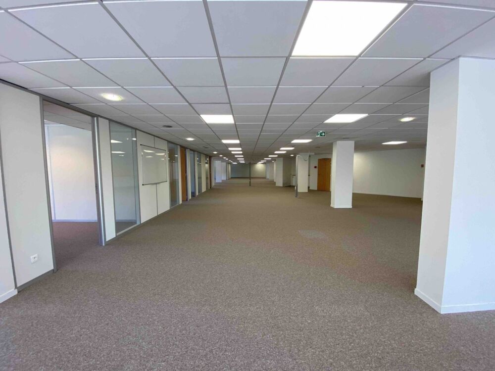   Bureaux - A LOUER - 1 969 m² divisibles à partir de 256 m² Montreuil
