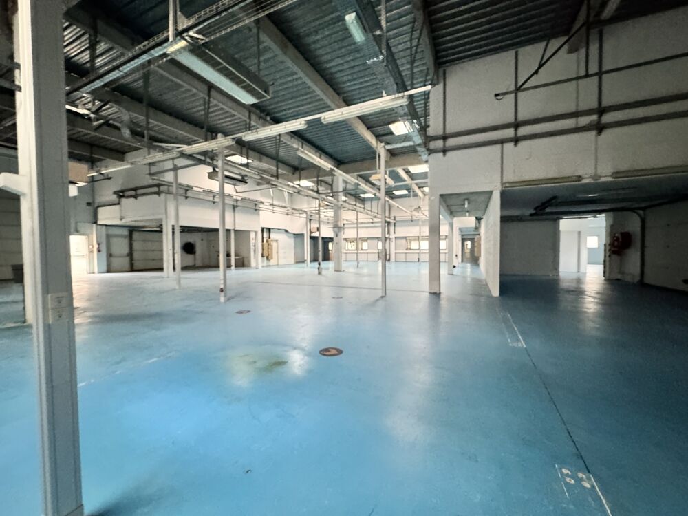  Locaux d'activité - A LOUER - 1 799 m² divisibles à partir de 779 m² 