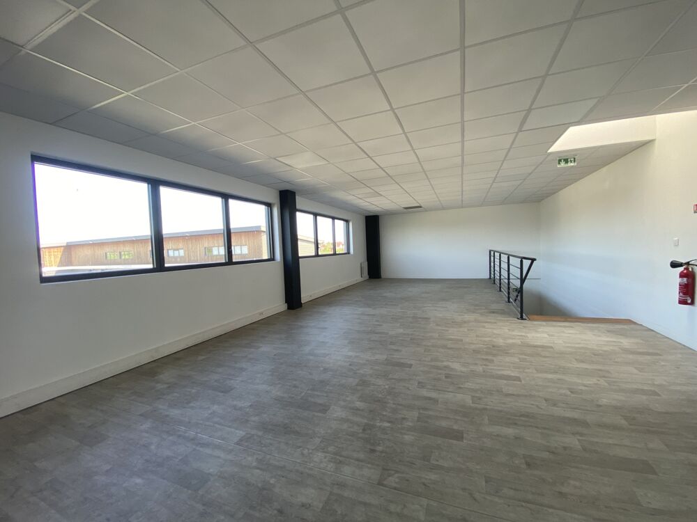   Locaux d'activité - A LOUER - 687 m² divisibles à partir de 229 m² Bussy saint georges
