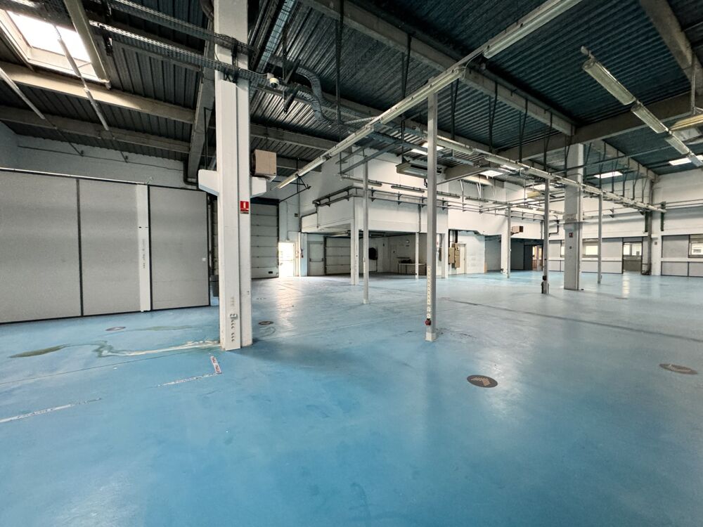   Locaux d'activité - A LOUER - 1 799 m² divisibles à partir de 779 m² Ivry sur seine