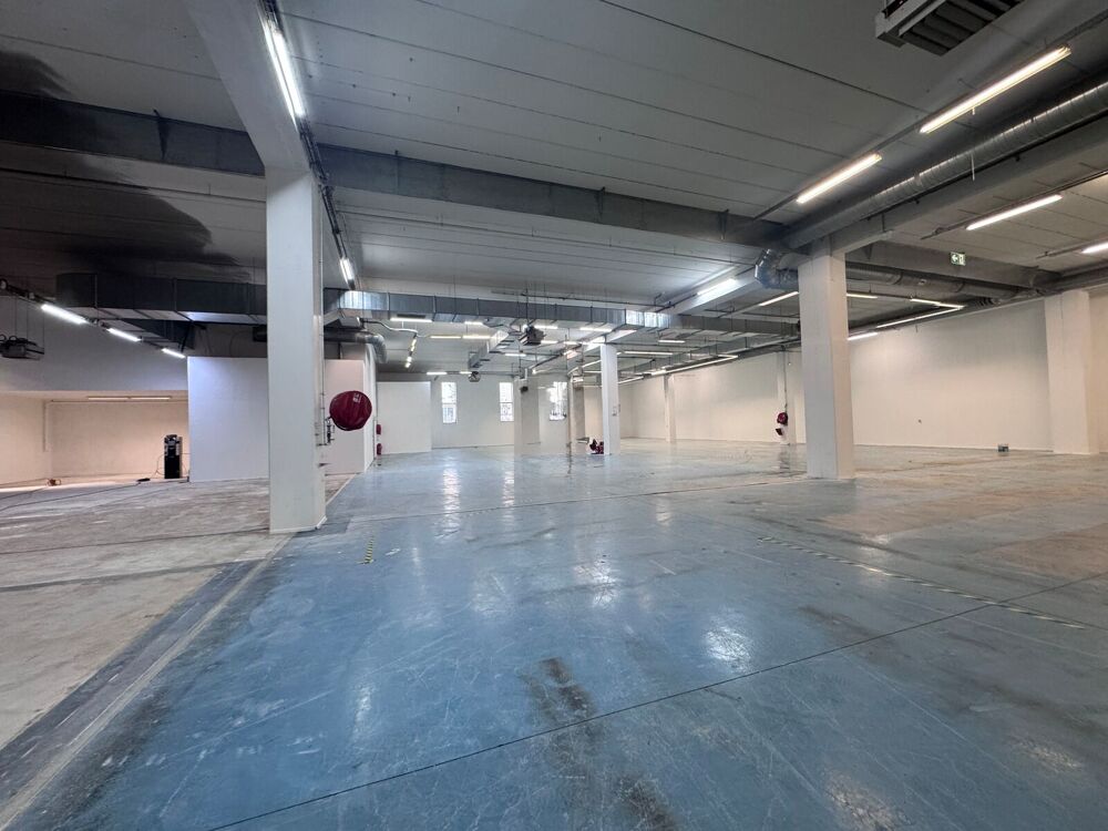   Locaux d'activité - A LOUER - 3 531 m² divisibles à partir de 282 m² 