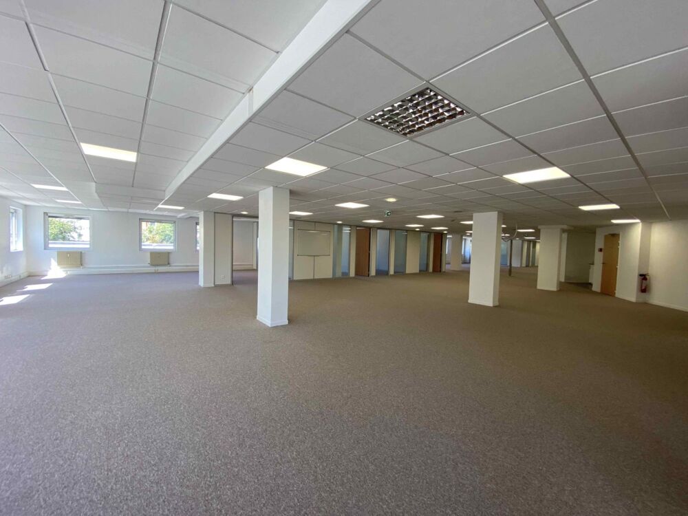   Bureaux - A LOUER - 1 969 m² divisibles à partir de 256 m² 
