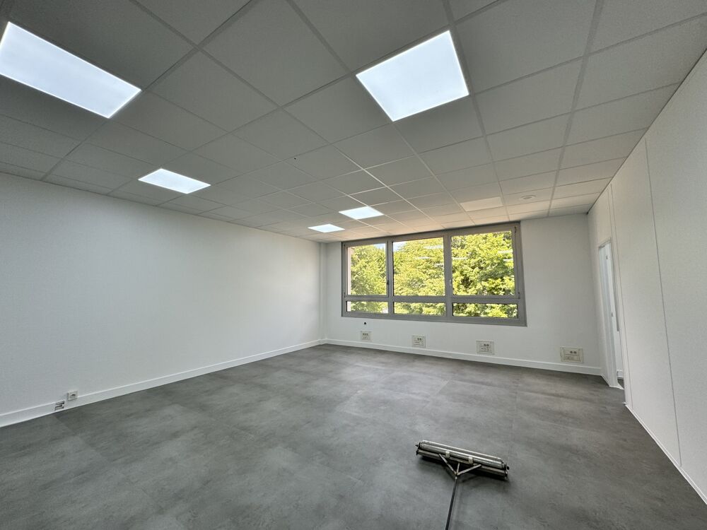  Locaux d'activité - A LOUER - 753 m² divisibles à partir de 374 m² Emerainville