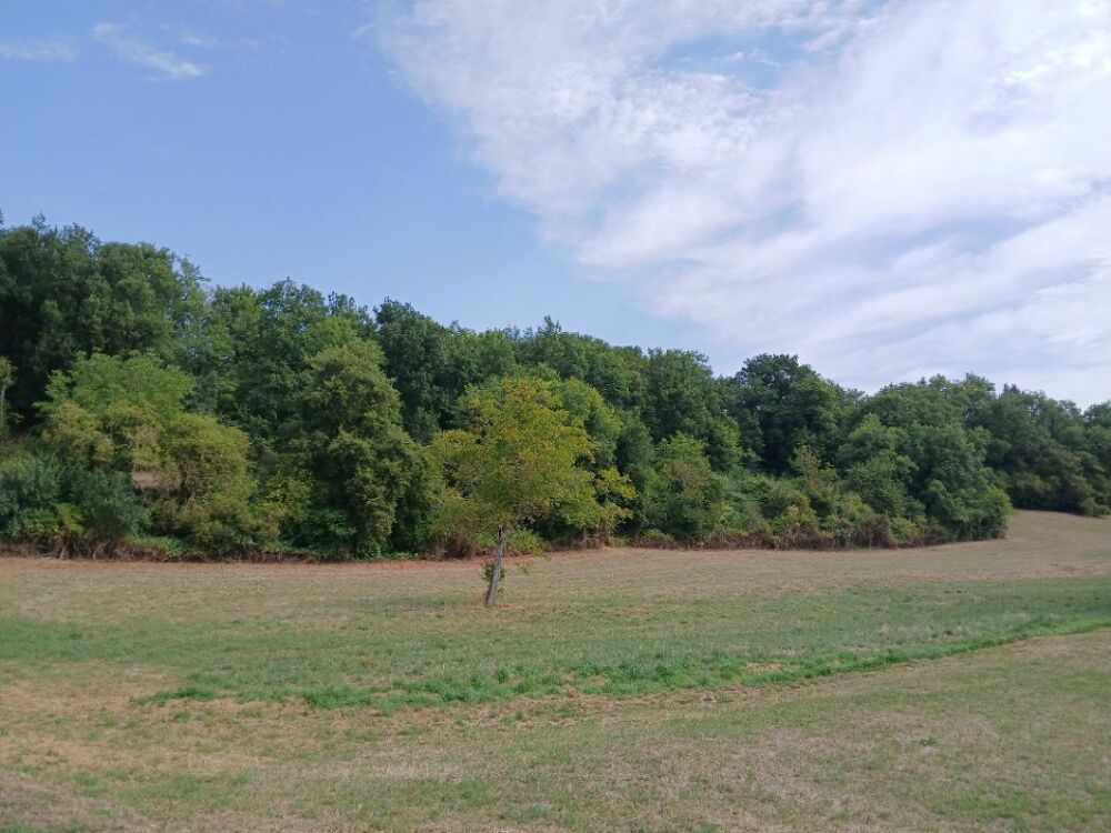 vente Terrain - 1929 m² Saint-Martin-de-Ribérac (24600)