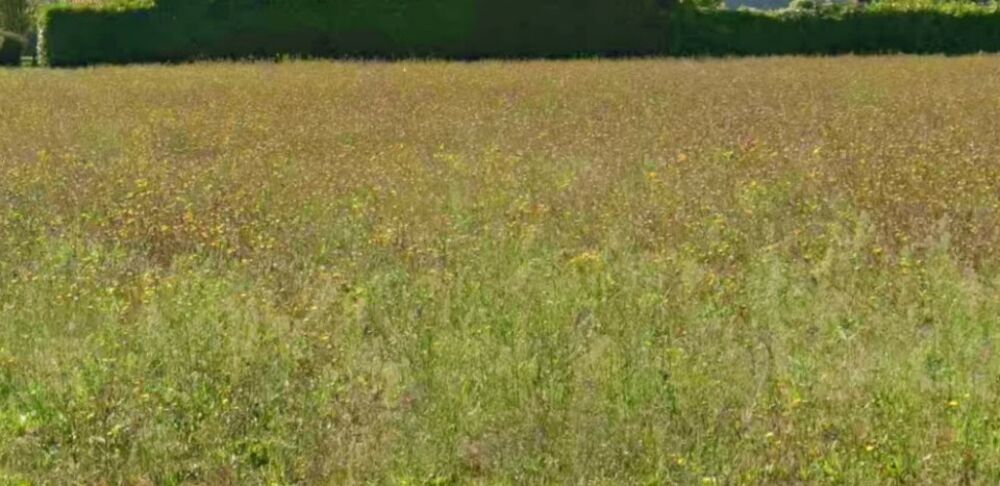 Maison neuve 83 m² - Terrain 216 m² - Aigrefeuille-d'Aun....