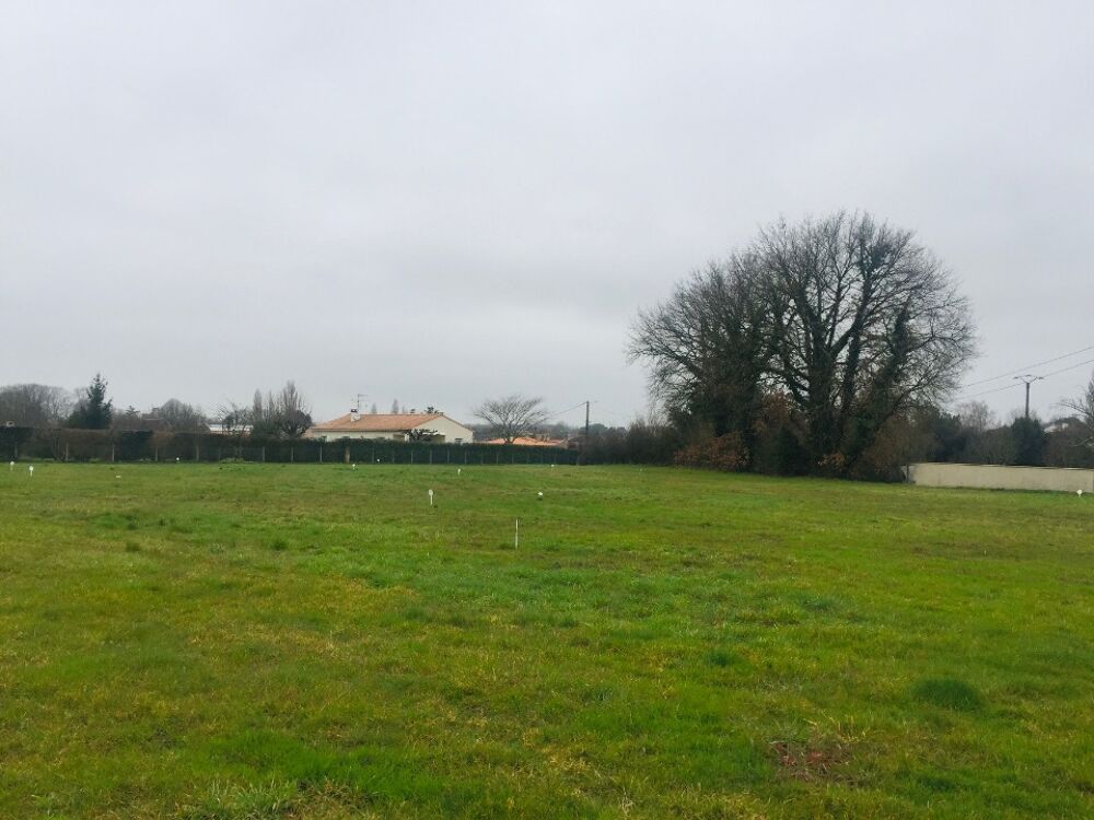 vente Terrain - 398 m² Arvert (17530)