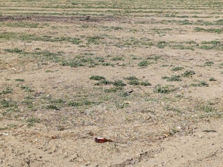  Maison � vendre 5 pi�ces 128 m�