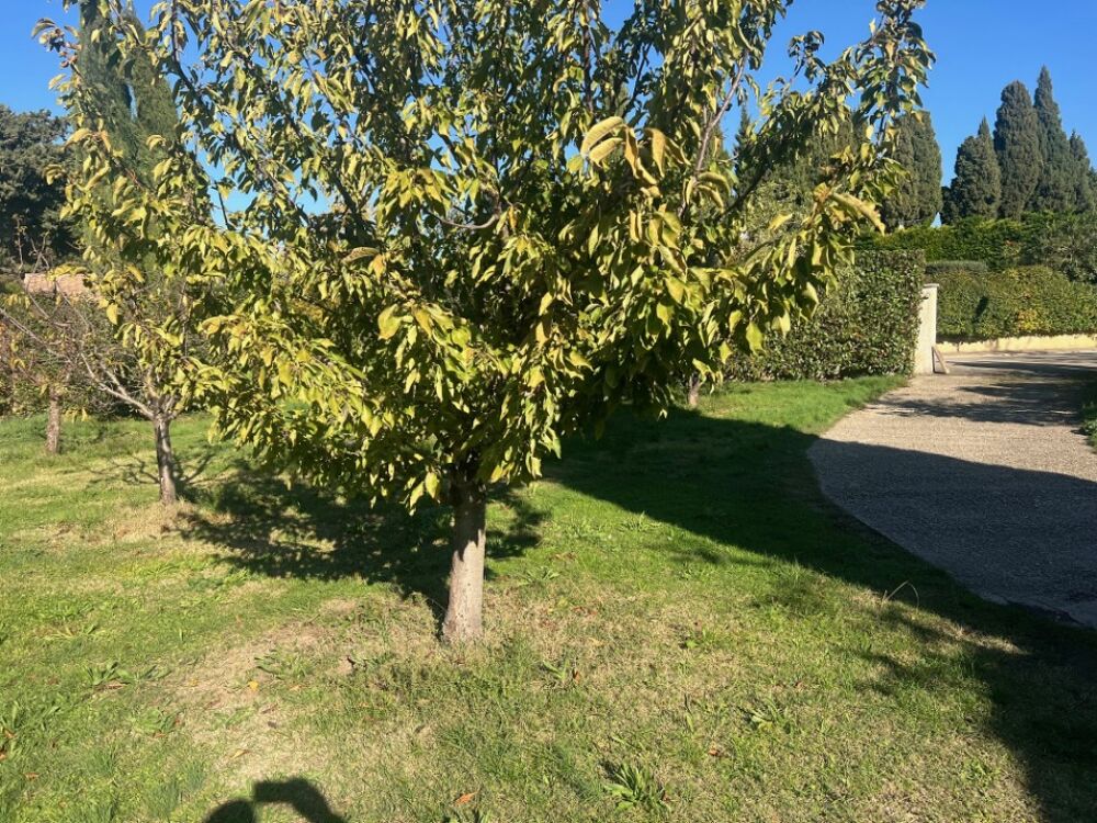 vente Terrain - 440 m² Salon-de-Provence (13300)