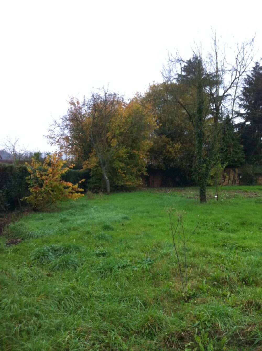 vente Maison - 6 pièce(s) - 137 m² Maisons-Alfort (94700)