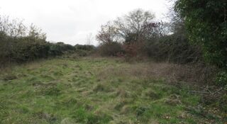 vente Terrain - 512 m² La Boissière-École (78125)