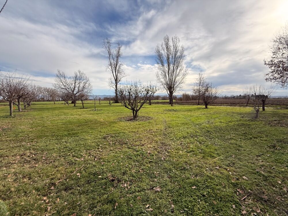 vente Maison - 7 pièce(s) - 139 m² Poudis (81700)