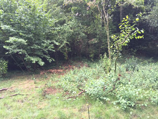  Maison � vendre 5 pi�ces 197 m�