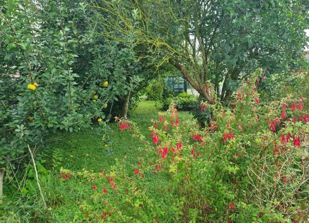 vente Maison - 6 pièce(s) - 109 m² Chevannes (91750)