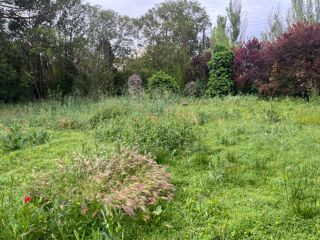  Terrain � vendre 1000 m�