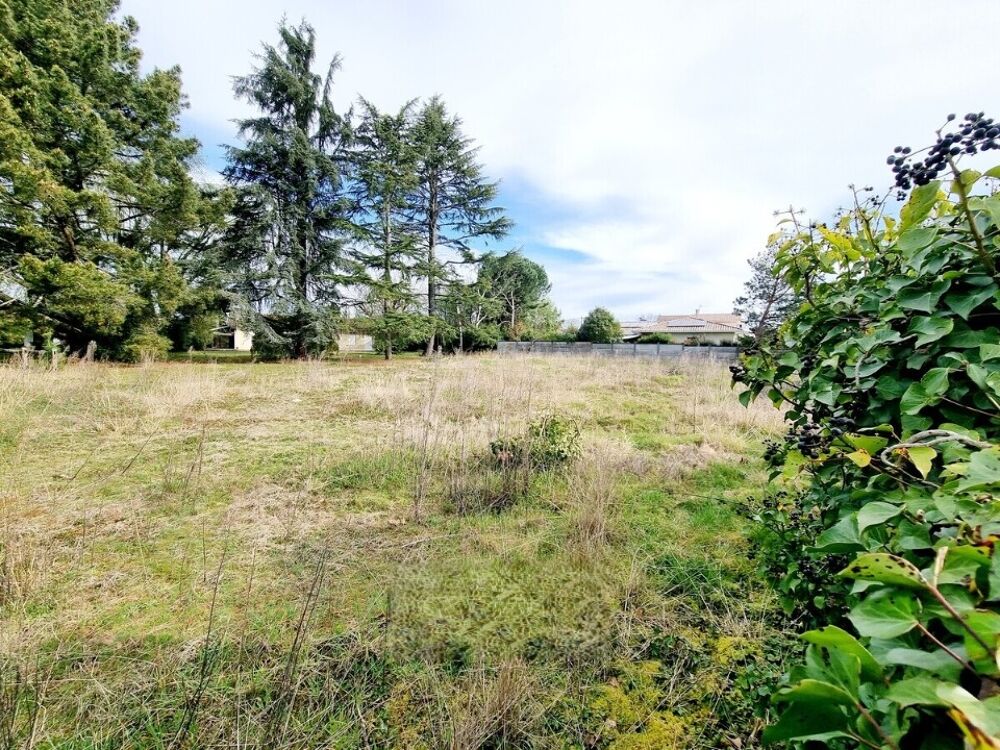 vente Terrain - 905 m² Pézenas (34120)
