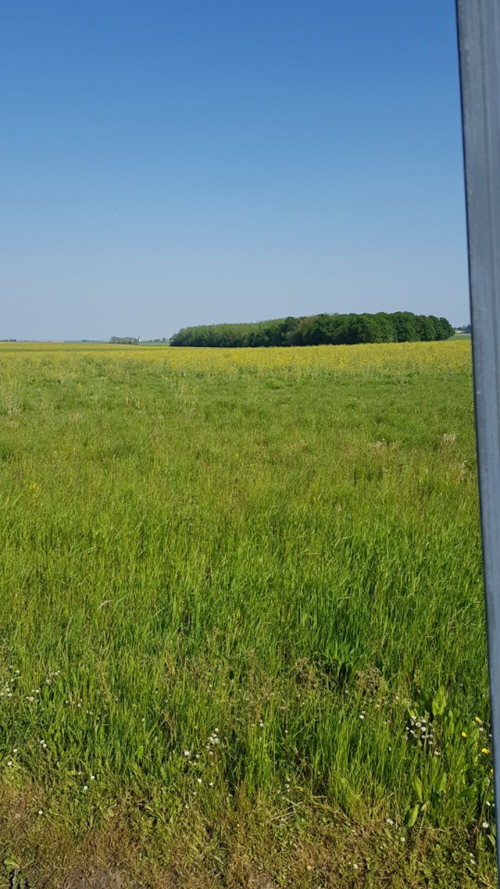 vente Maison - 6 pièce(s) - 117 m² Guérard (77580)