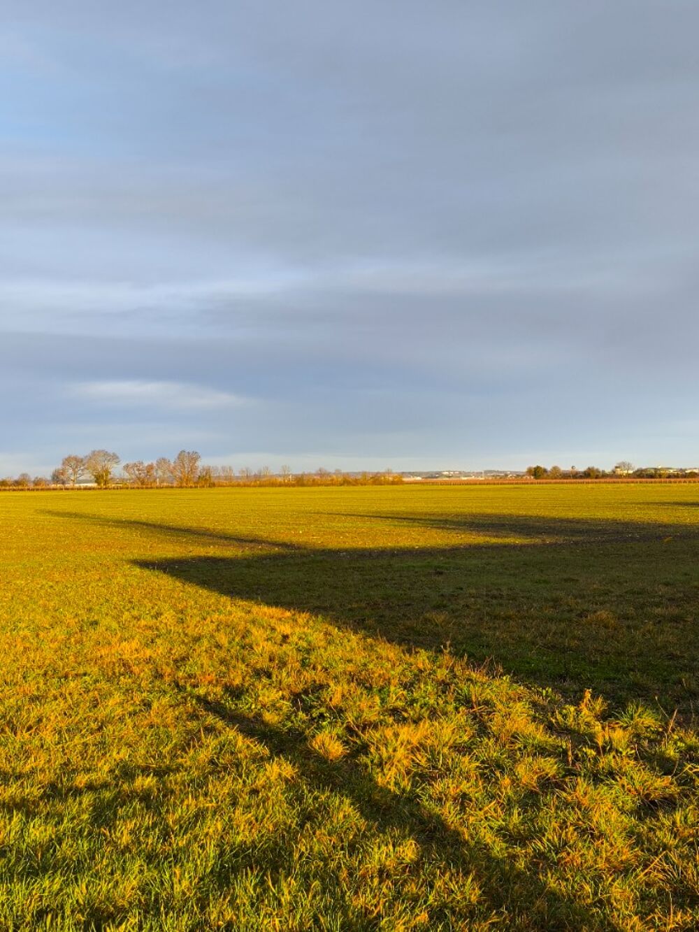 vente Terrain - 890 m² Sainte-Lheurine (17520)