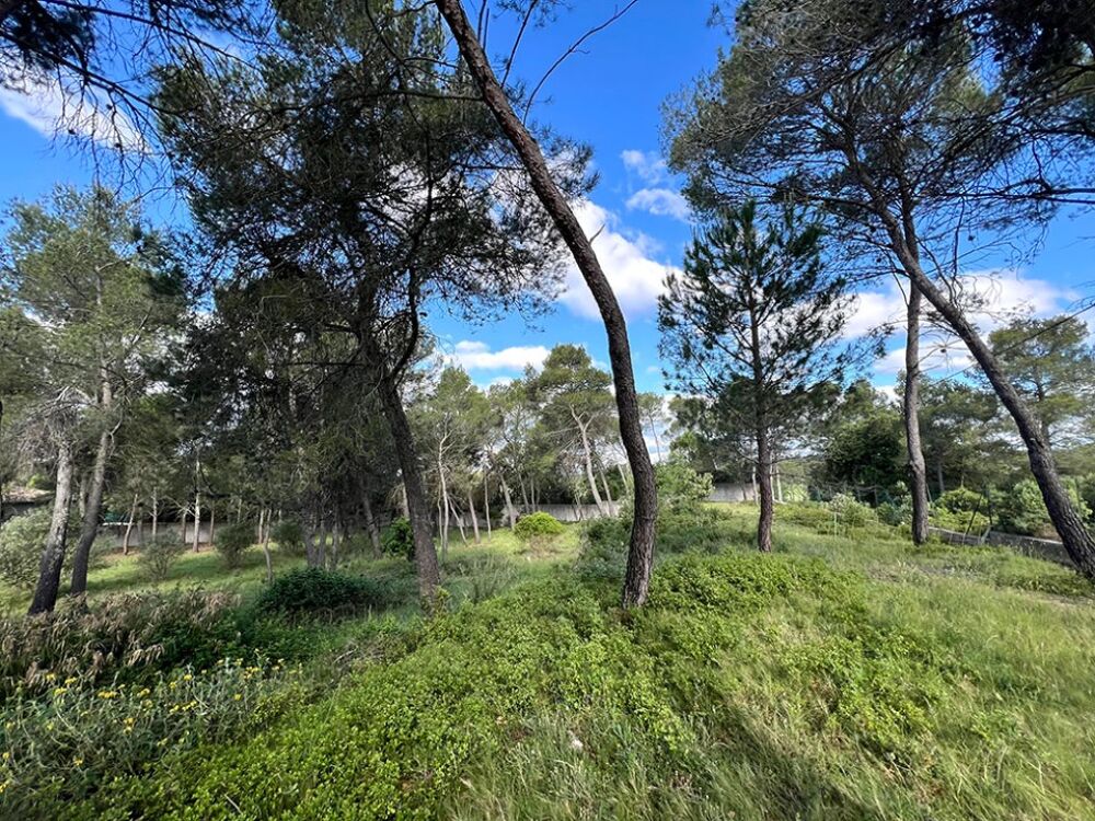 vente Maison - 5 pièce(s) - 120 m² Guzargues (34820)