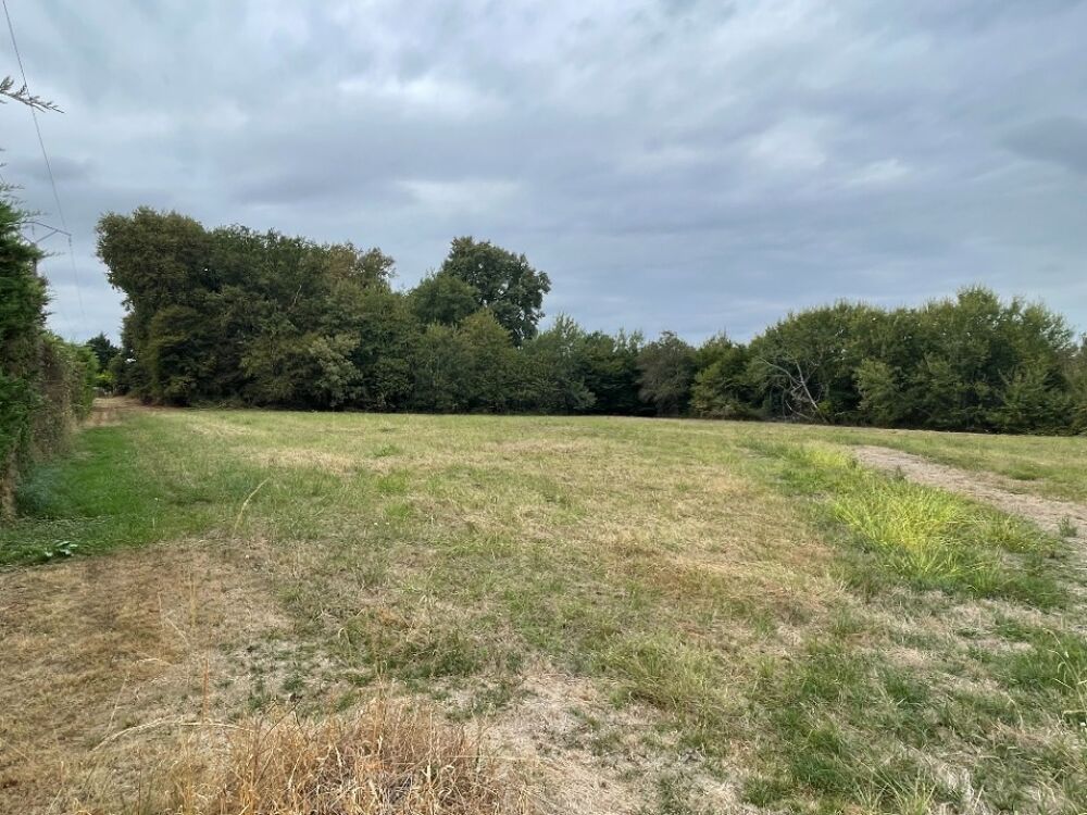 vente Terrain - 1080 m² Langon (33210)