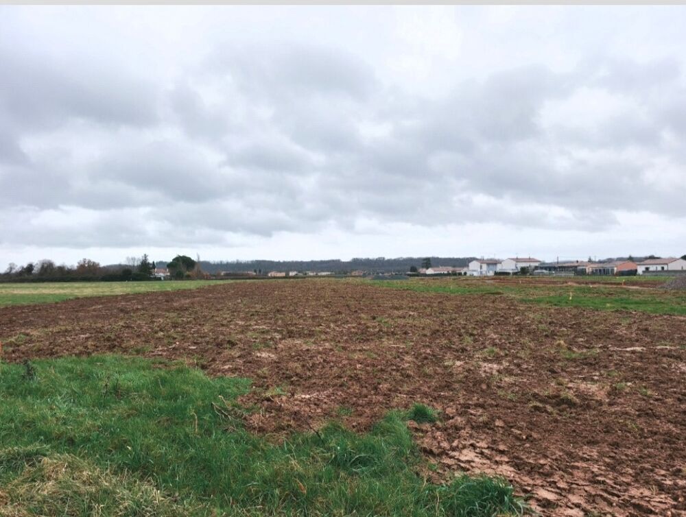 vente Maison - 5 pièce(s) - 88 m² Lagrave (81150)