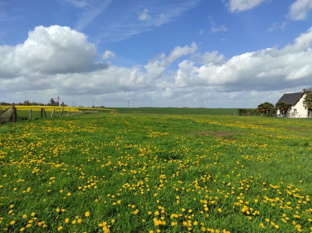 vente Terrain - 2000 m² Guiseniers (27700)