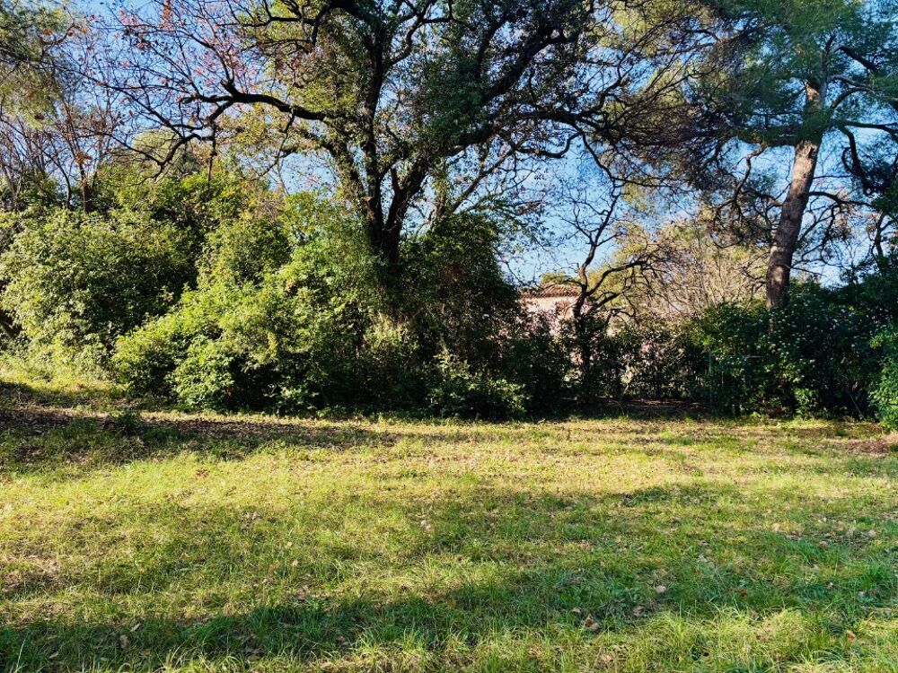 vente Terrain - 500 m² Ollioules (83190)
