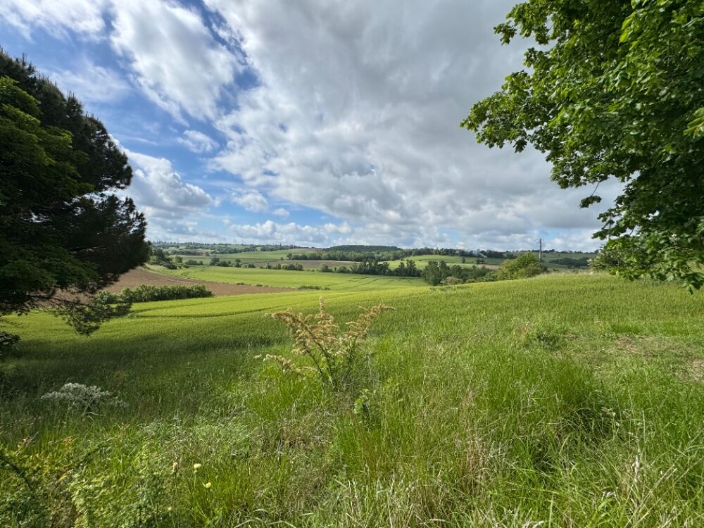 vente Maison - 5 pi�ce(s) - 115 m� Dr�mil-Lafage (31280)