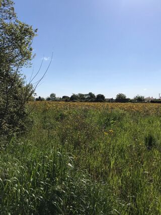  Terrain � vendre 307 m�