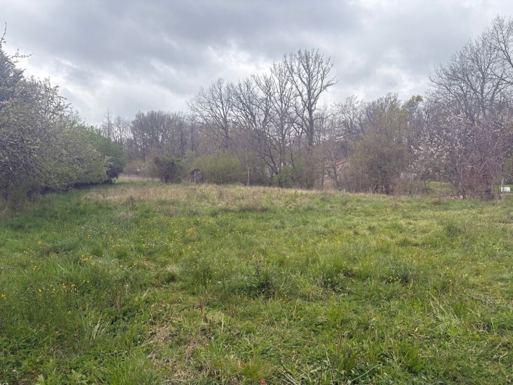 vente Terrain - 784 m² Mézens (81800)