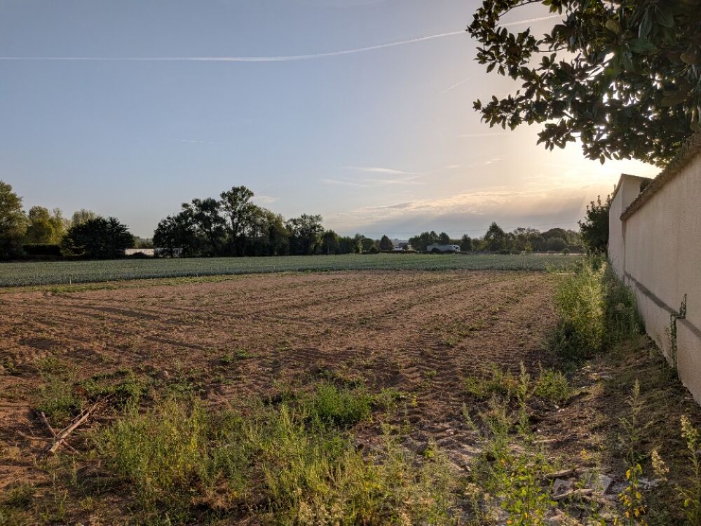 vente Terrain - 800 m² Saint-Georges-de-Reneins (69830)