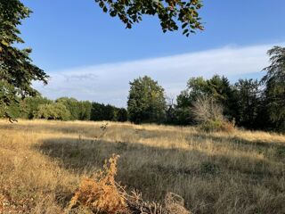  Terrain à vendre 1220 m²