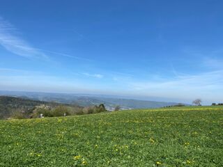  Terrain 1149 m Saint-just-malmont