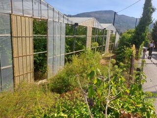  Terrain � vendre 441 m�