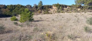  Terrain � vendre 486 m�