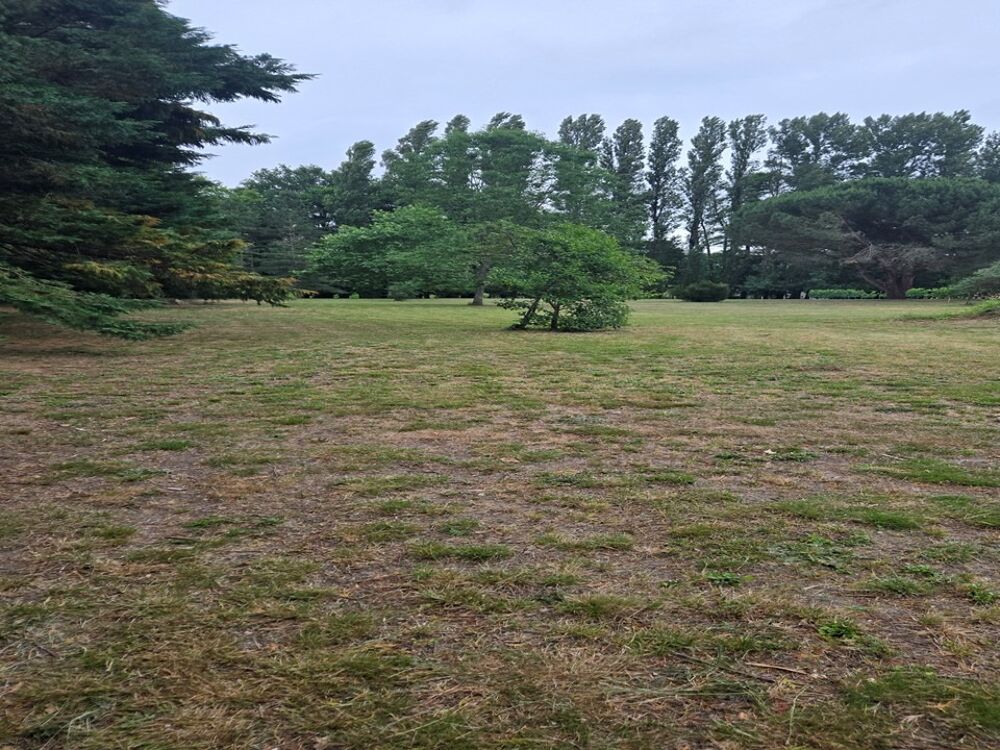 vente Terrain - 1015 m² Périssac (33240)