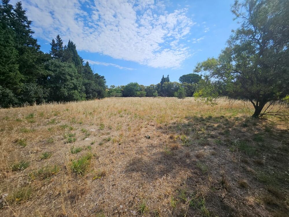 vente Terrain - 780 m² Fontvieille (13990)