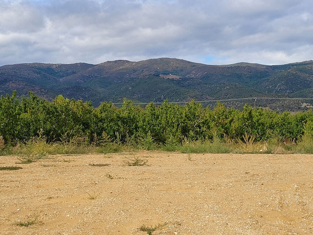vente Terrain - 343 m² Los Masos (66500)