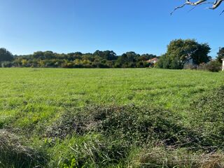  Terrain � vendre 590 m�