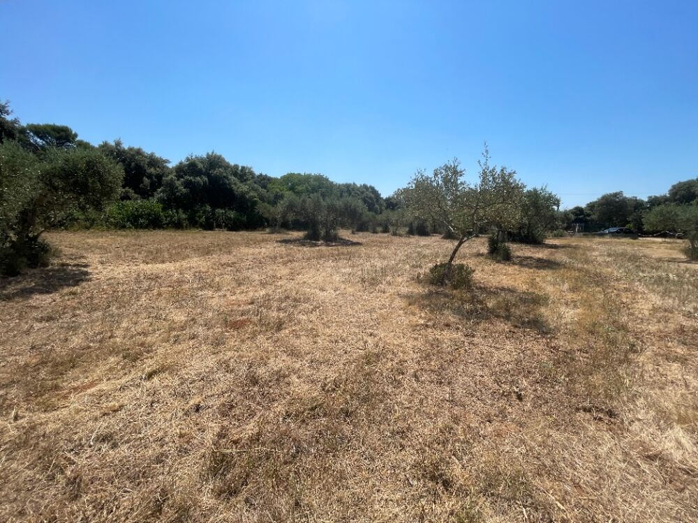 vente Terrain - 1700 m² Saint-Siffret (30700)
