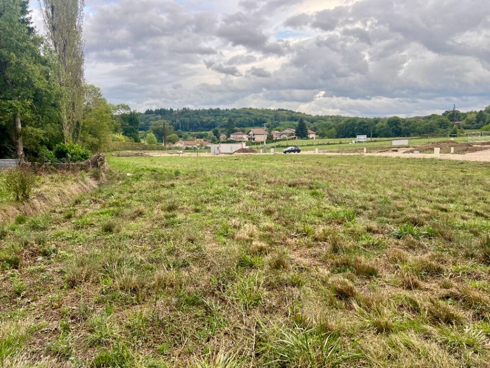 vente Terrain - 800 m² Revonnas (01250)