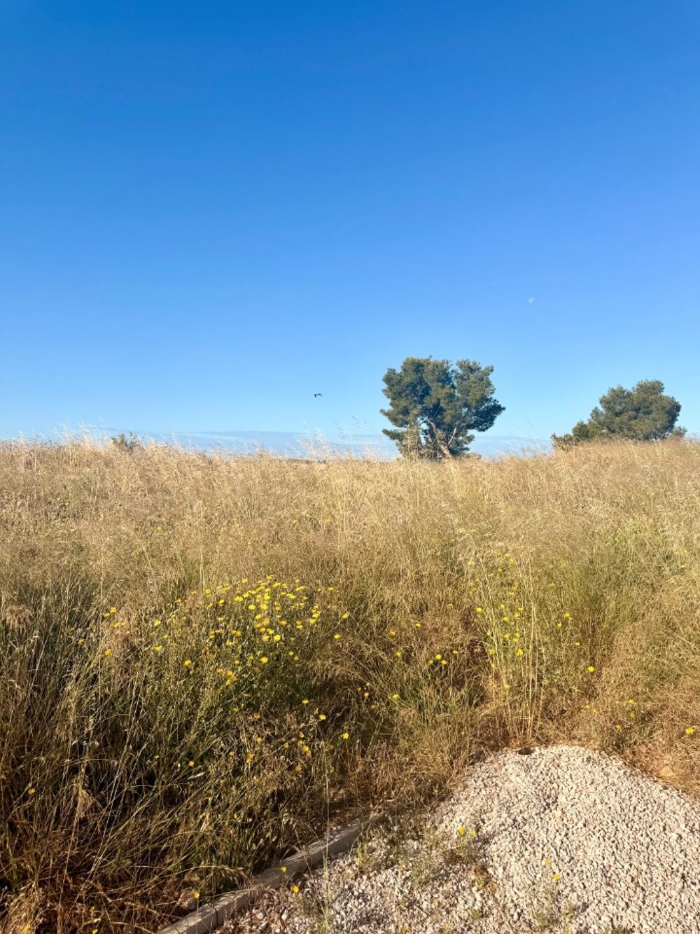 vente Terrain - 403 m² Martigues (13500)