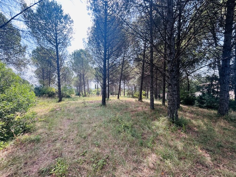 vente Terrain - 614 m² Roquebrune-sur-Argens (83520)